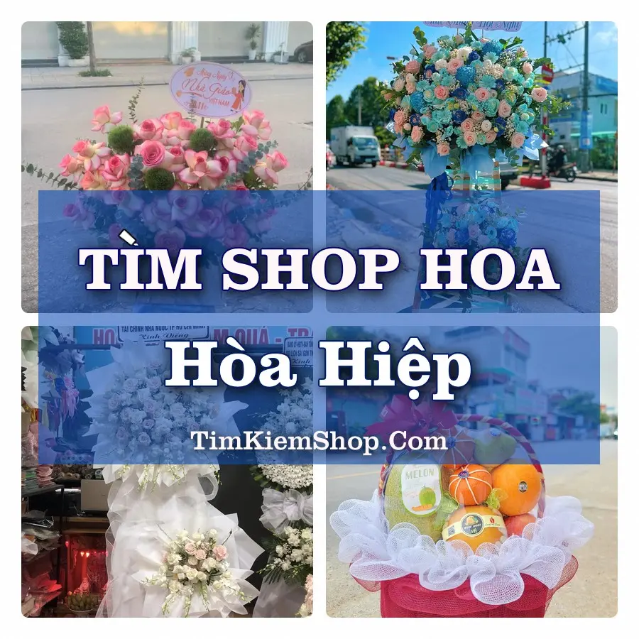 Tìm Shop Hoa Tươi Tại Phường Hòa Hiệp Đắk Lắk