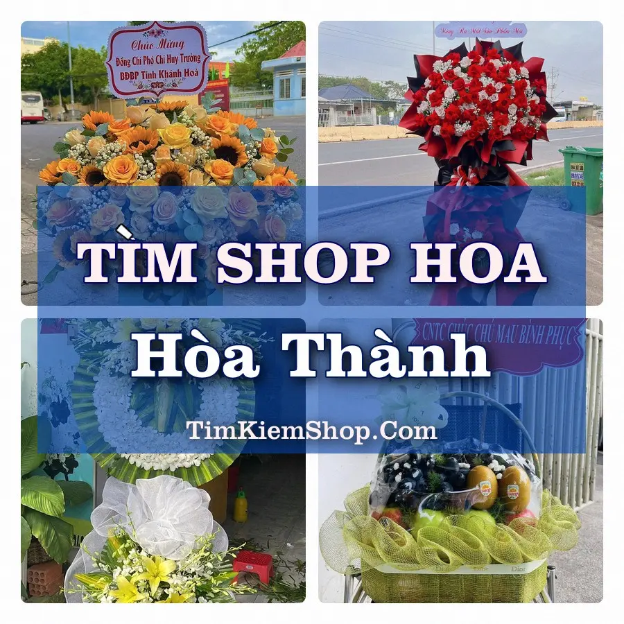 Tìm Shop Hoa Tươi Tại Phường Hòa Thành Cà Mau