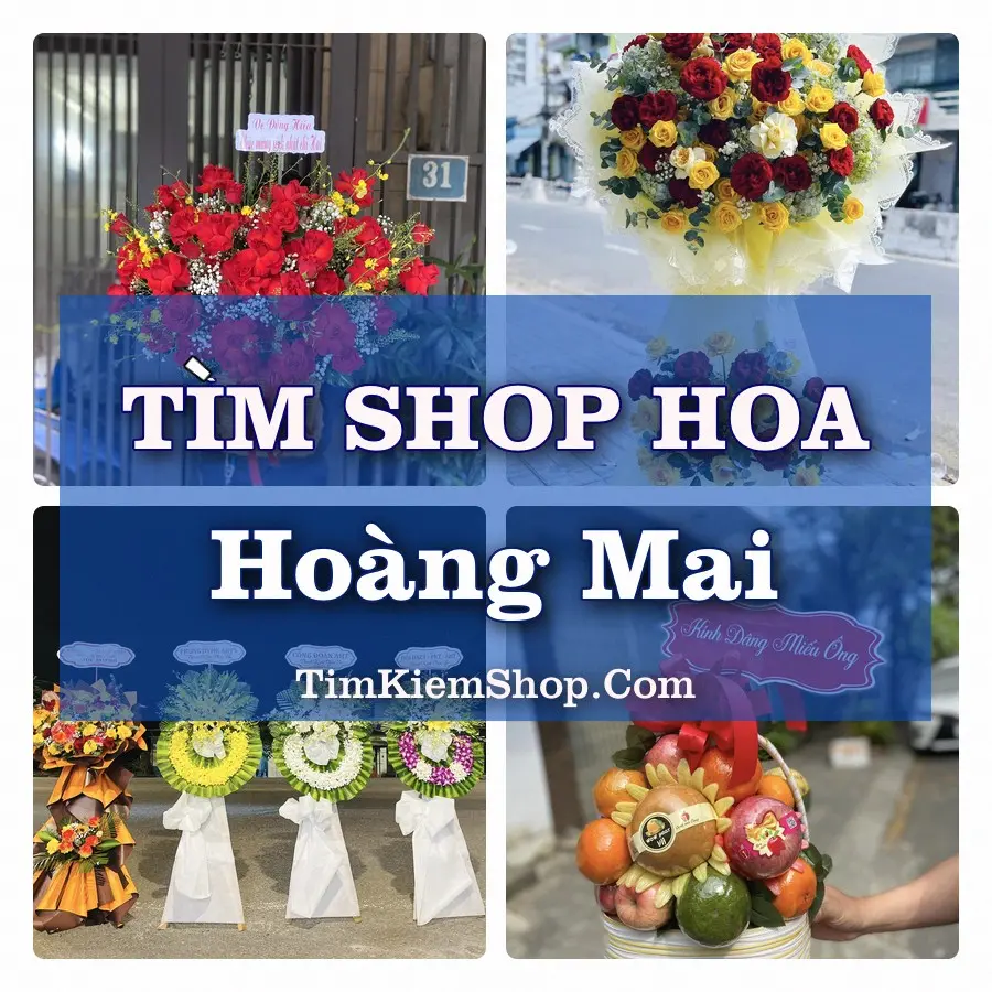Tìm Shop Hoa Tươi Tại Phường Hoàng Mai Nghệ An