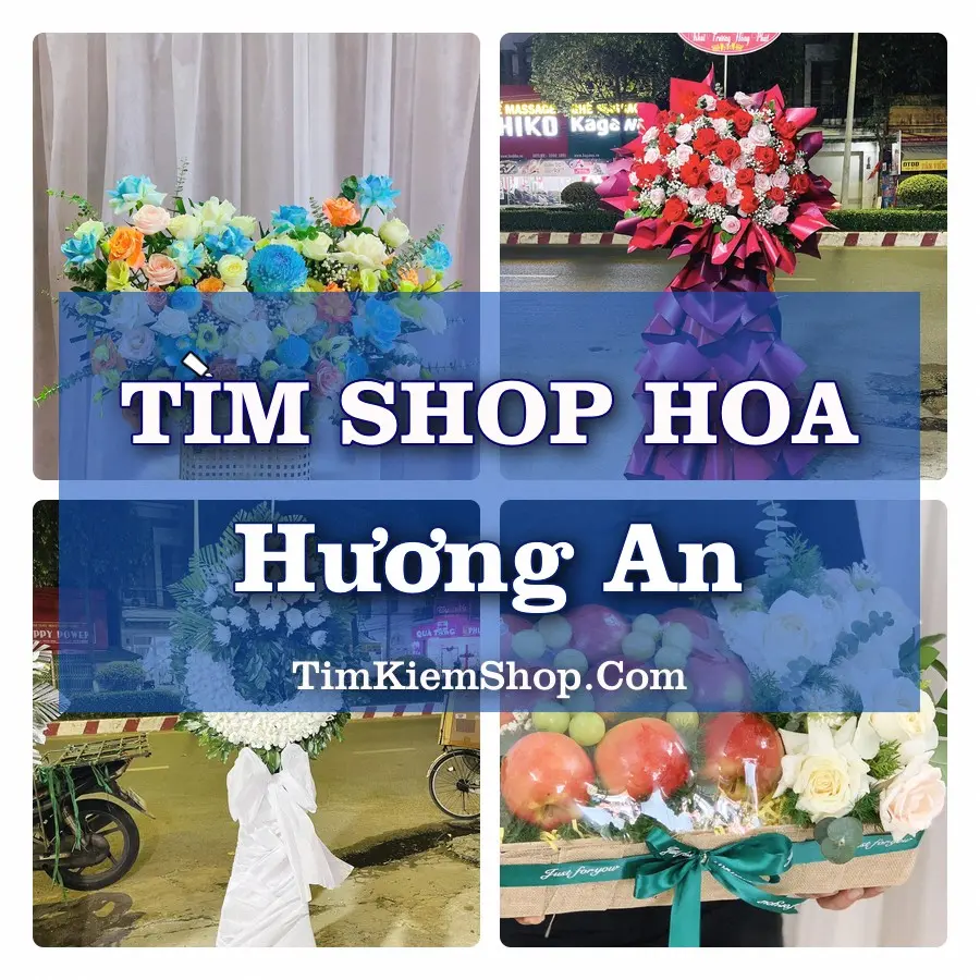 Tìm Shop Hoa Tươi Tại Phường Hương An Huế