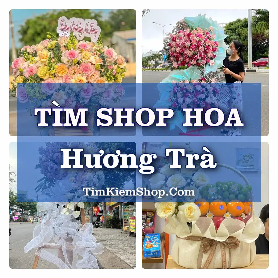 Tìm Shop Hoa Tươi Tại Phường Hương Trà Đà Nẵng