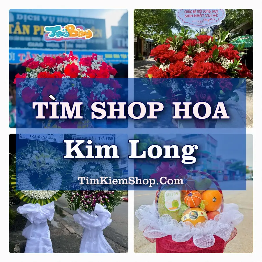 Tìm Shop Hoa Tươi Tại Phường Kim Long Huế