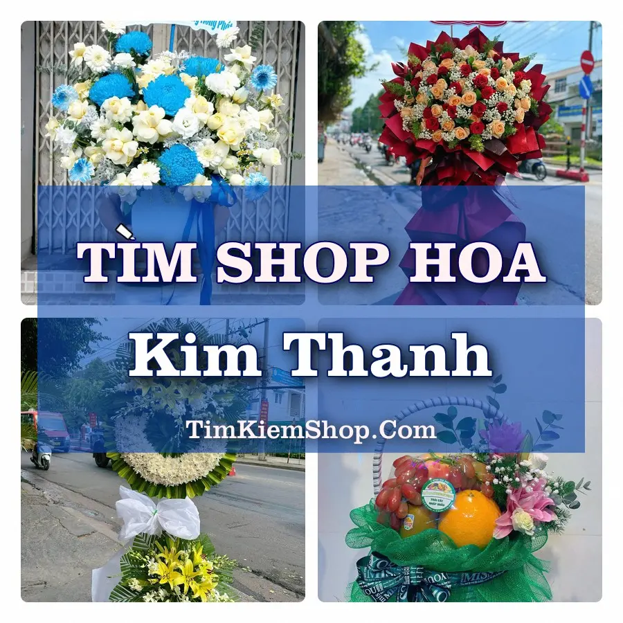 Tìm Shop Hoa Tươi Tại Phường Kim Thanh Ninh Bình