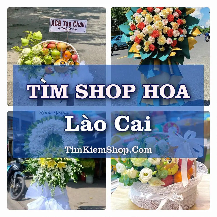 Tìm Shop Hoa Tươi Tại Phường Lào Cai Lào Cai