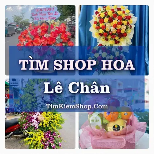 Tìm Shop Hoa Tươi Tại Phường Lê Chân Hải Phòng