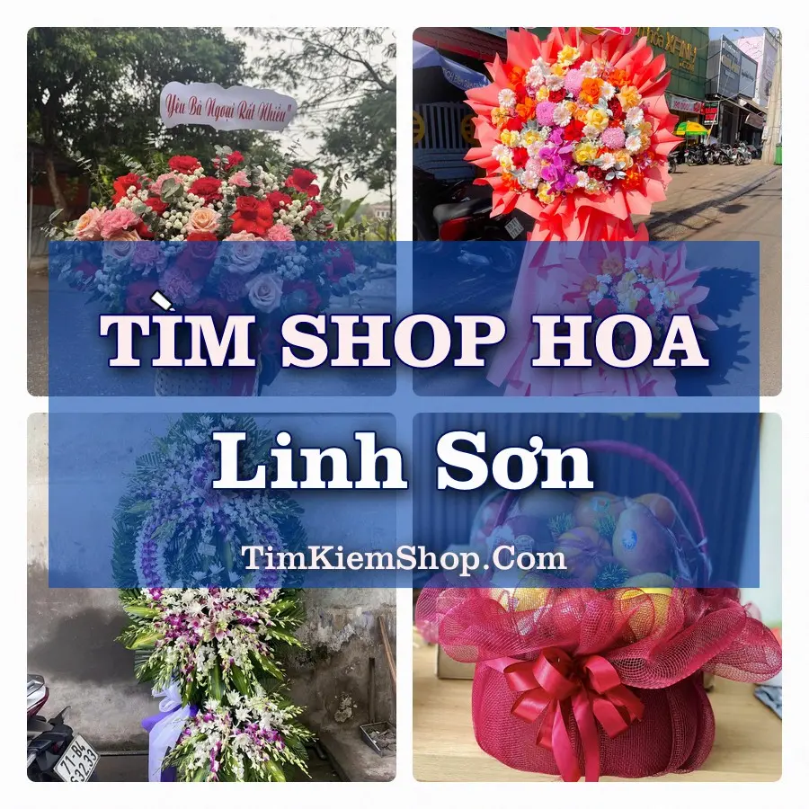 Tìm Shop Hoa Tươi Tại Phường Linh Sơn Thái Nguyên