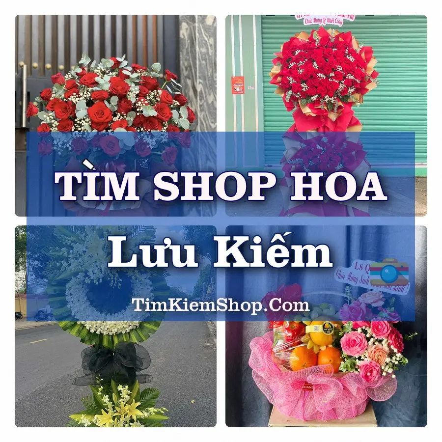 Tìm Shop Hoa Tươi Tại Phường Lưu Kiếm Hải Phòng
