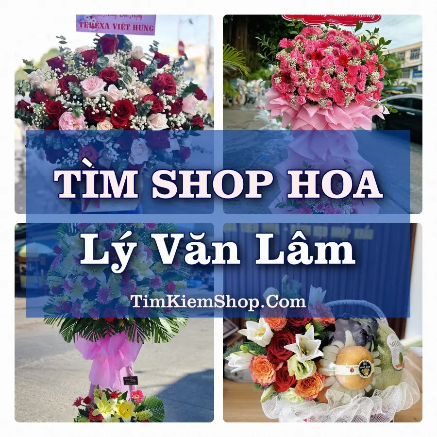 Tìm Shop Hoa Tươi Tại Phường Lý Văn Lâm Cà Mau