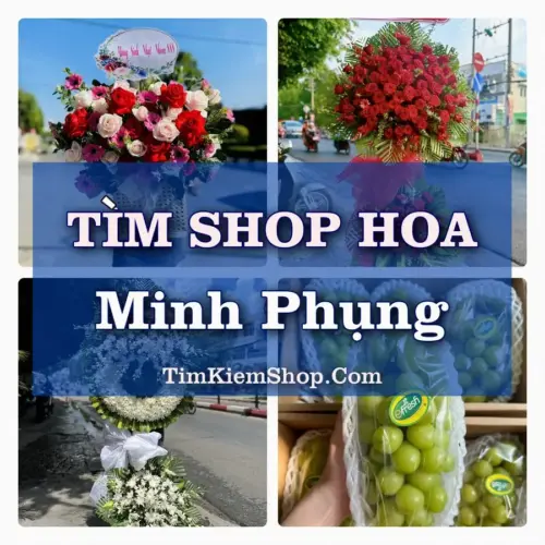 Tìm Shop Hoa Tươi Tại Phường Minh Phụng TP.HCM