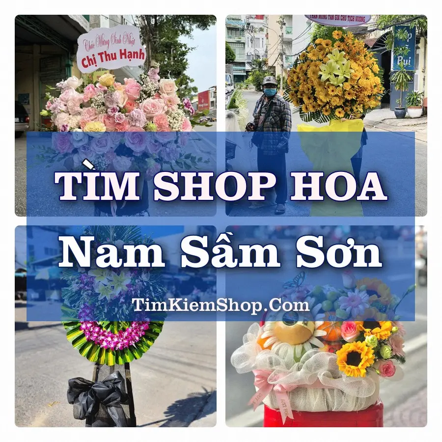 Tìm Shop Hoa Tươi Tại Phường Nam Sầm Sơn Thanh Hóa