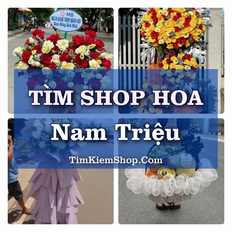 Tìm Shop Hoa Tươi Tại Phường Nam Triệu Hải Phòng