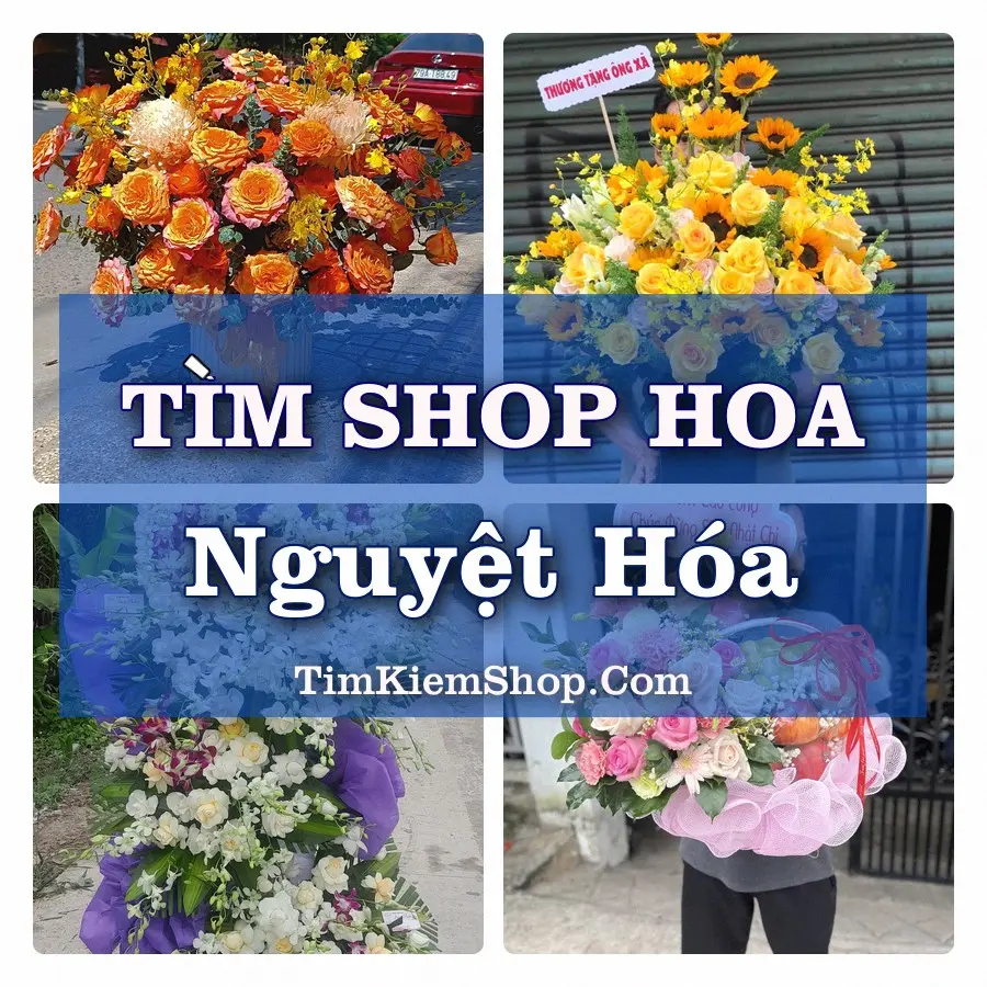 Tìm Shop Hoa Tươi Tại Phường Nguyệt Hóa Vĩnh Long