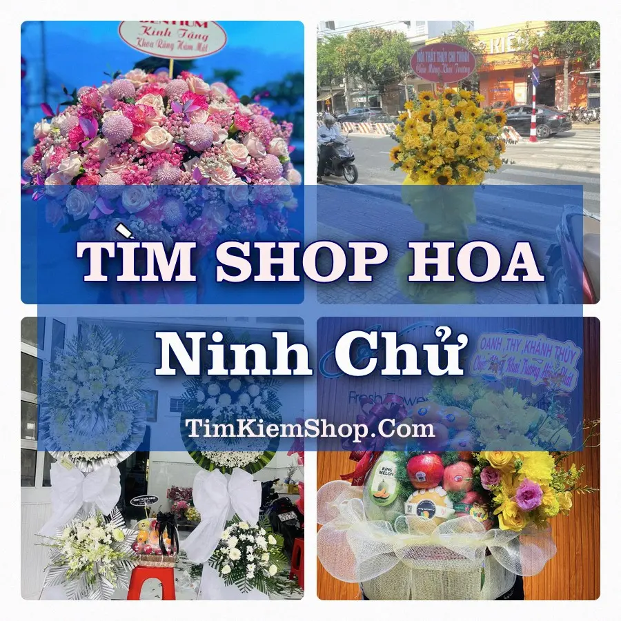 Tìm Shop Hoa Tươi Tại Phường Ninh Chử Khánh Hòa