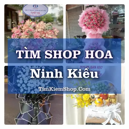 Tìm Shop Hoa Tươi Tại Phường Ninh Kiều Cần Thơ