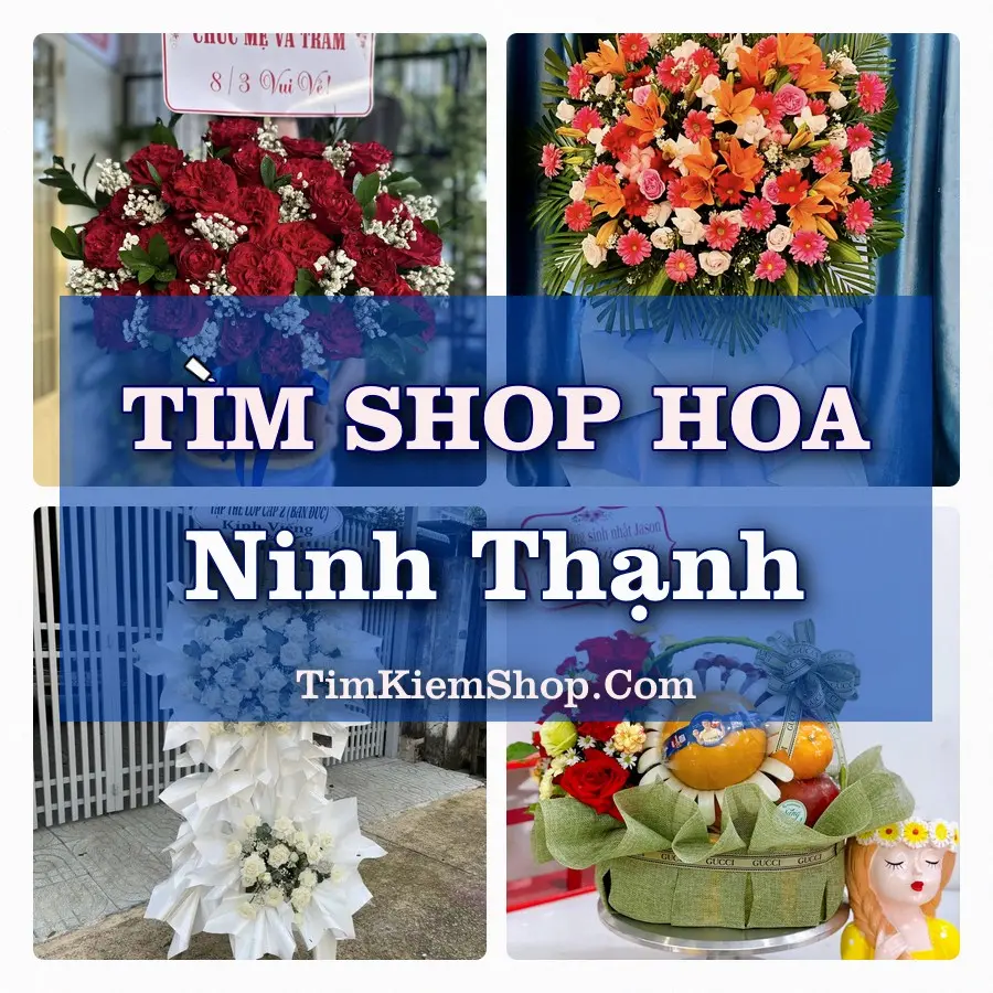 Tìm Shop Hoa Tươi Tại Phường Ninh Thạnh Tây Ninh