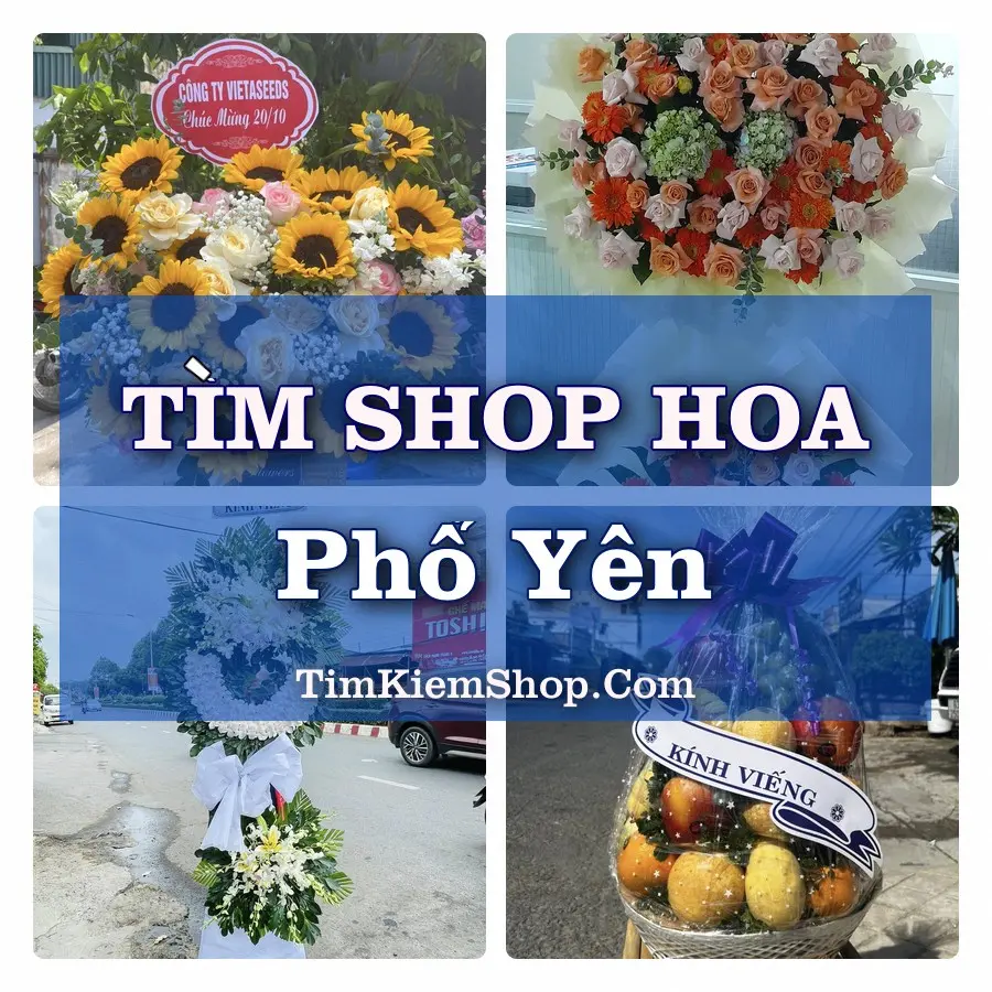 Tìm Shop Hoa Tươi Tại Phường Phổ Yên Thái Nguyên