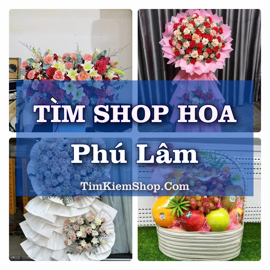 Tìm Shop Hoa Tươi Tại Phường Phú Lâm TP.HCM