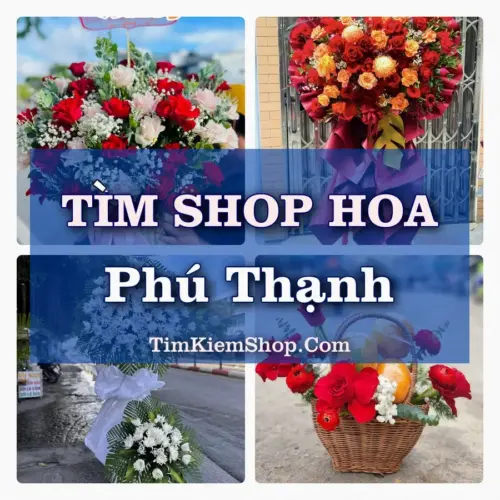 Tìm Shop Hoa Tươi Tại Phường Phú Thạnh TP.HCM