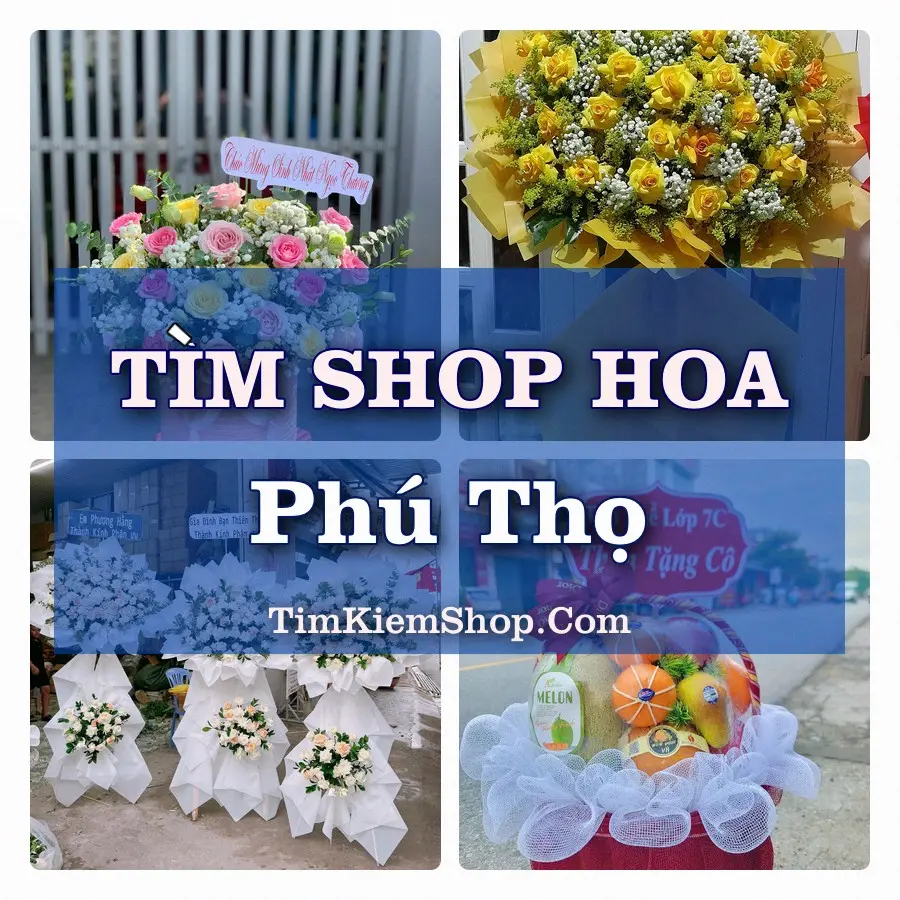 Tìm Shop Hoa Tươi Tại Phường Phú Thọ Phú Thọ