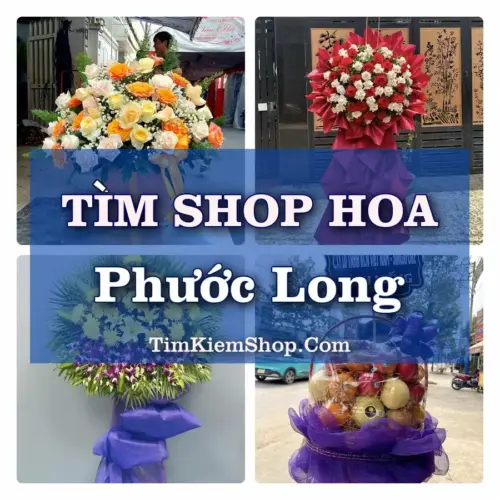 Tìm Shop Hoa Tươi Tại Phường Phước Long TP.HCM