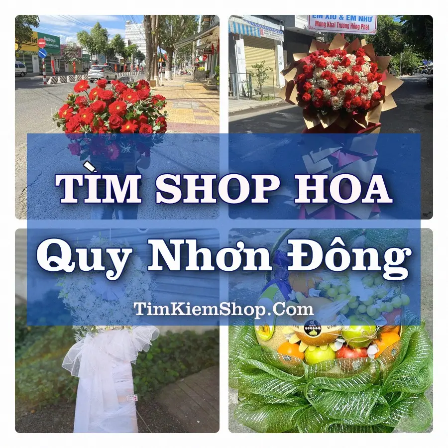 Tìm Shop Hoa Tươi Tại Phường Quy Nhơn Đông Gia Lai