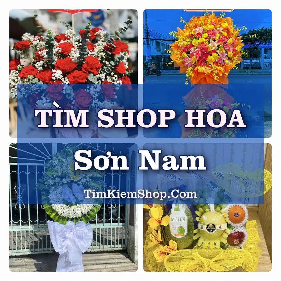 Tìm Shop Hoa Tươi Tại Phường Sơn Nam Hưng Yên
