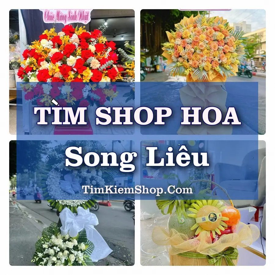 Tìm Shop Hoa Tươi Tại Phường Song Liễu Bắc Ninh