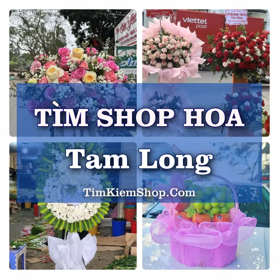 Tìm Shop Hoa Tươi Tại Phường Tam Long TP.HCM