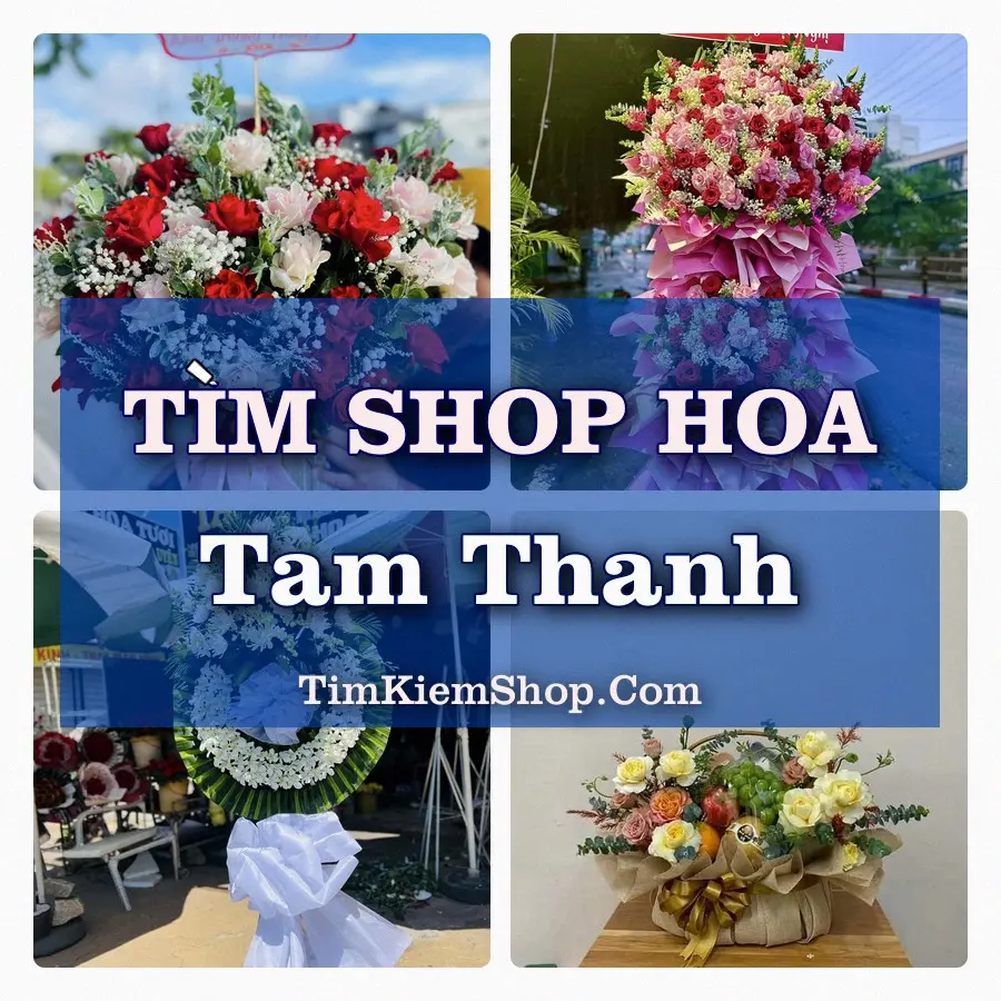 Tìm Shop Hoa Tươi Tại Phường Tam Thanh Lạng Sơn