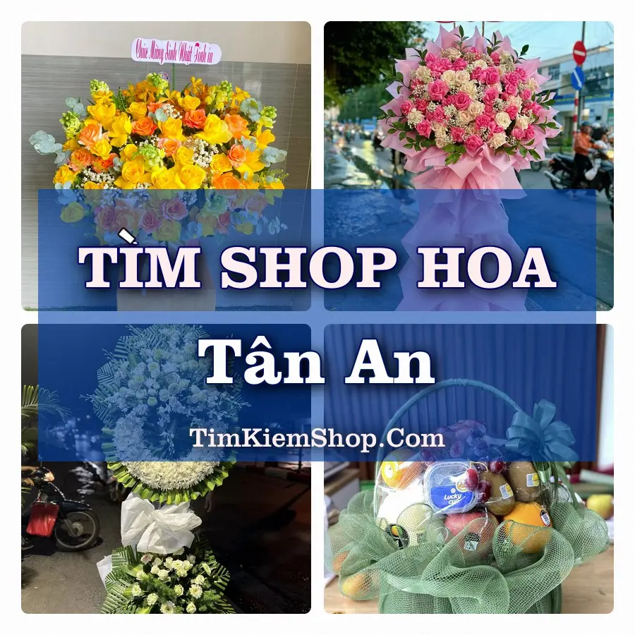 Tìm Shop Hoa Tươi Tại Phường Tân An Đắk Lắk