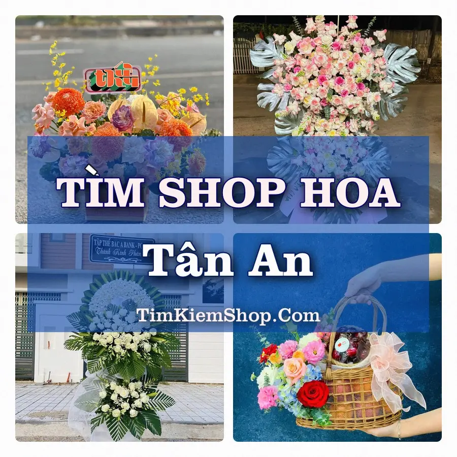 Tìm Shop Hoa Tươi Tại Phường Tân An Tây Ninh