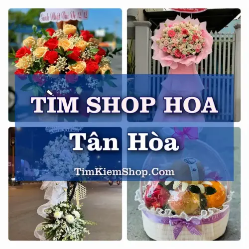 Tìm Shop Hoa Tươi Tại Phường Tân Hòa TP.HCM