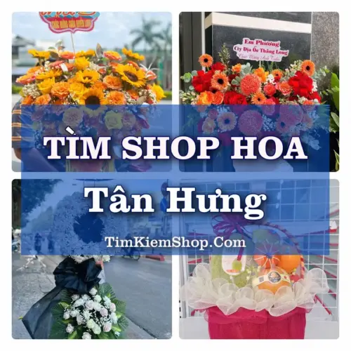 Tìm Shop Hoa Tươi Tại Phường Tân Hưng TP.HCM