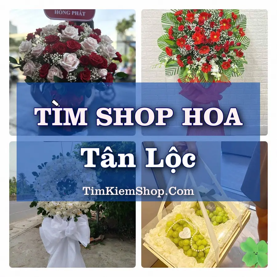 Tìm Shop Hoa Tươi Tại Phường Tân Lộc Cần Thơ