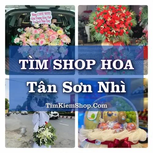 Tìm Shop Hoa Tươi Tại Phường Tân Sơn Nhì TP.HCM