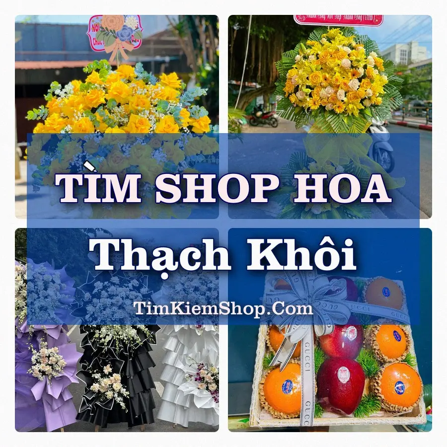 Tìm Shop Hoa Tươi Tại Phường Thạch Khôi Hải Phòng
