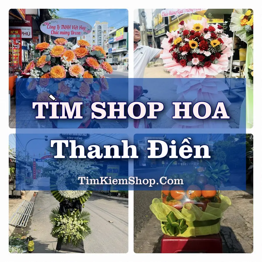 Tìm Shop Hoa Tươi Tại Phường Thanh Điền Tây Ninh