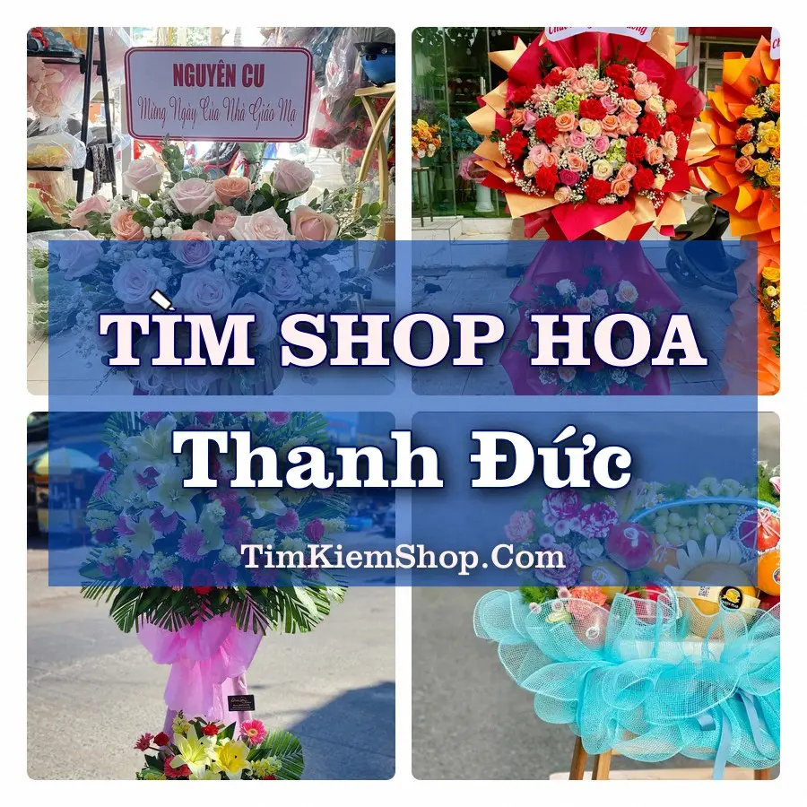 Tìm Shop Hoa Tươi Tại Phường Thanh Đức Vĩnh Long