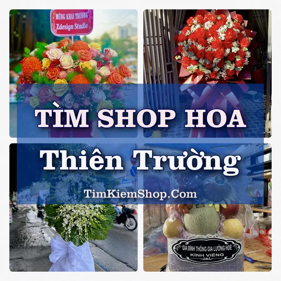 Tìm Shop Hoa Tươi Tại Phường Thiên Trường Ninh Bình
