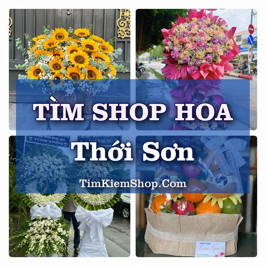 Tìm Shop Hoa Tươi Tại Phường Thới Sơn Đồng Tháp