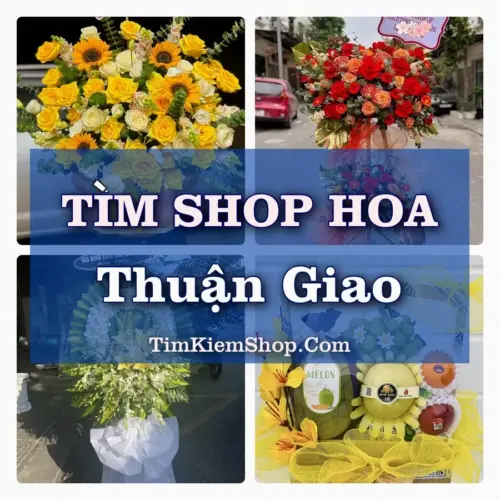 Tìm Shop Hoa Tươi Tại Phường Thuận Giao TP.HCM