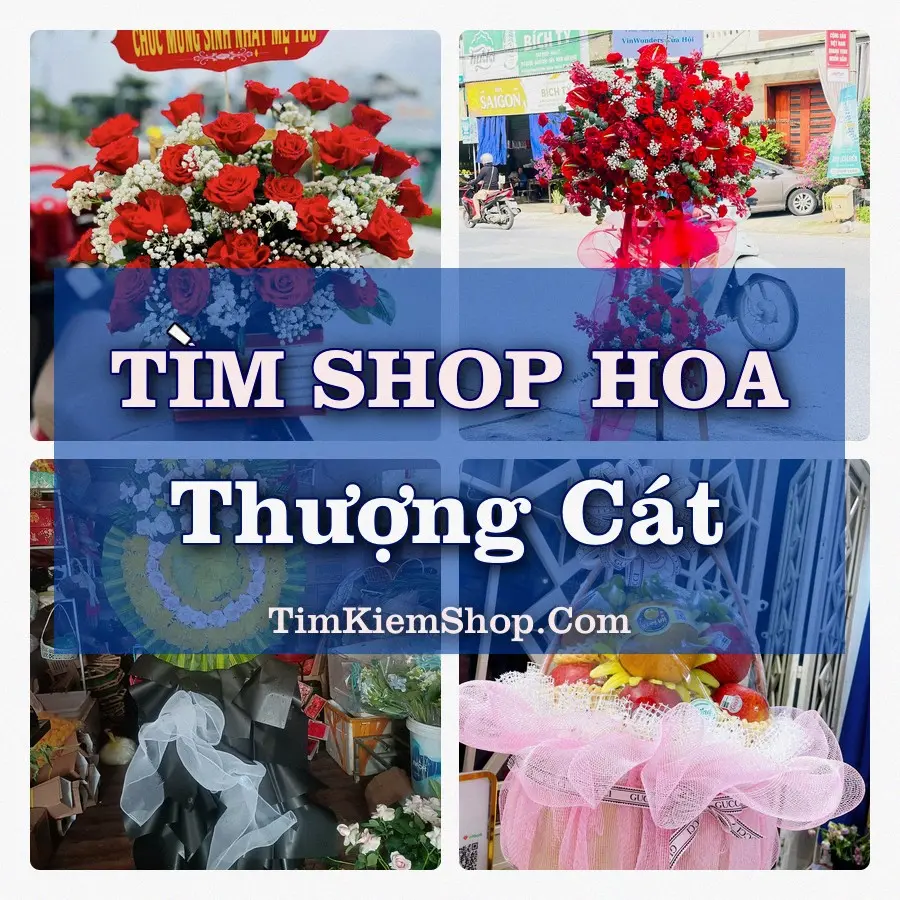Tìm Shop Hoa Tươi Tại Phường Thượng Cát Hà Nội