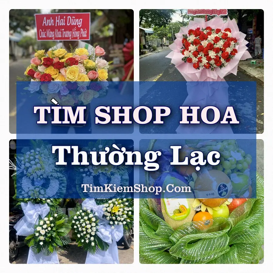 Tìm Shop Hoa Tươi Tại Phường Thường Lạc Đồng Tháp