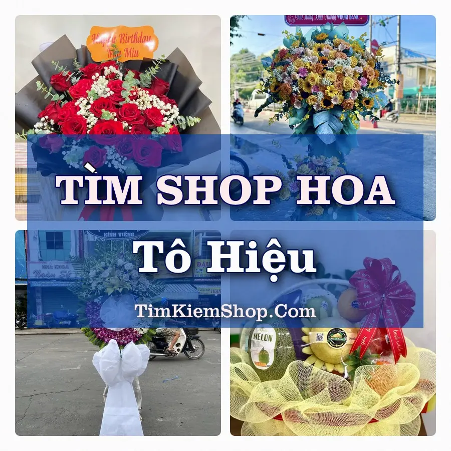 Tìm Shop Hoa Tươi Tại Phường Tô Hiệu Sơn La