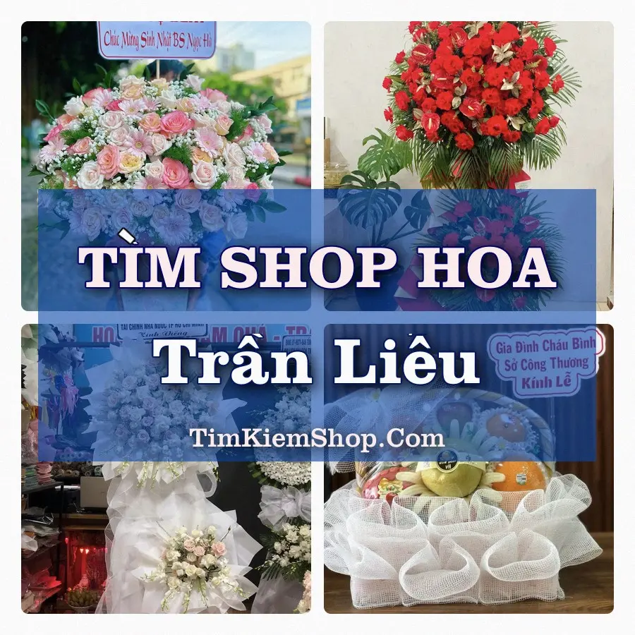 Tìm Shop Hoa Tươi Tại Phường Trần Liễu Hải Phòng