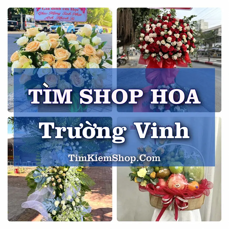 Tìm Shop Hoa Tươi Tại Phường Trường Vinh Nghệ An