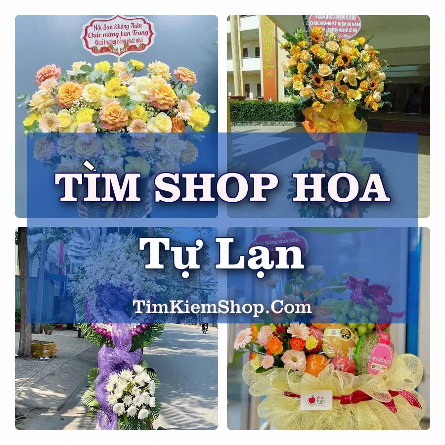 Tìm Shop Hoa Tươi Tại Phường Tự Lạn Bắc Ninh