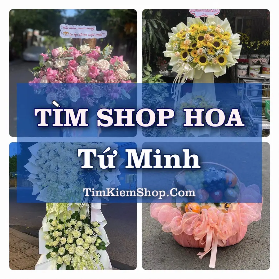 Tìm Shop Hoa Tươi Tại Phường Tứ Minh Hải Phòng
