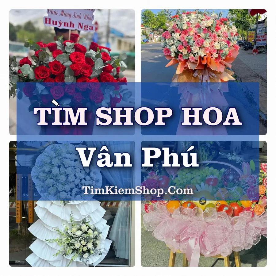 Tìm Shop Hoa Tươi Tại Phường Vân Phú Phú Thọ