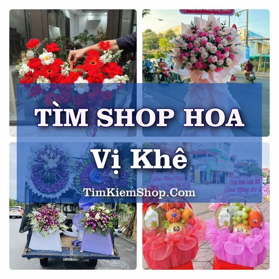 Tìm Shop Hoa Tươi Tại Phường Vị Khê Ninh Bình